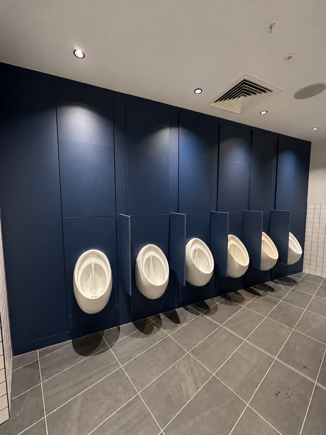 Navy Bridgewater IPS panels behind a run of urinals with privacy panels, in a sports stadium washroom