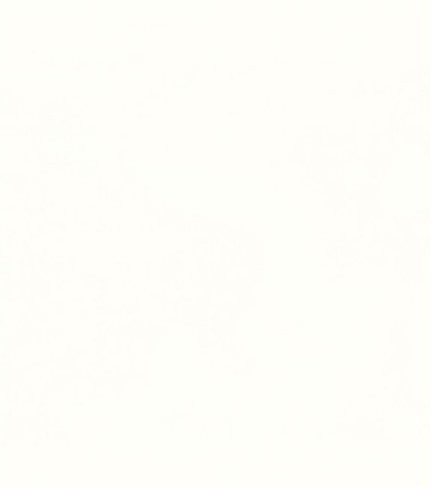 BD White