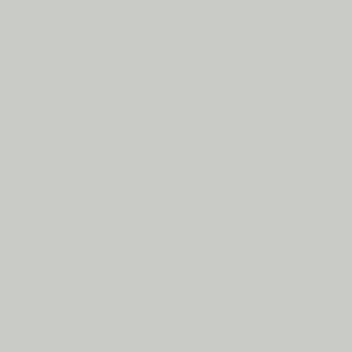 BD Dove Grey